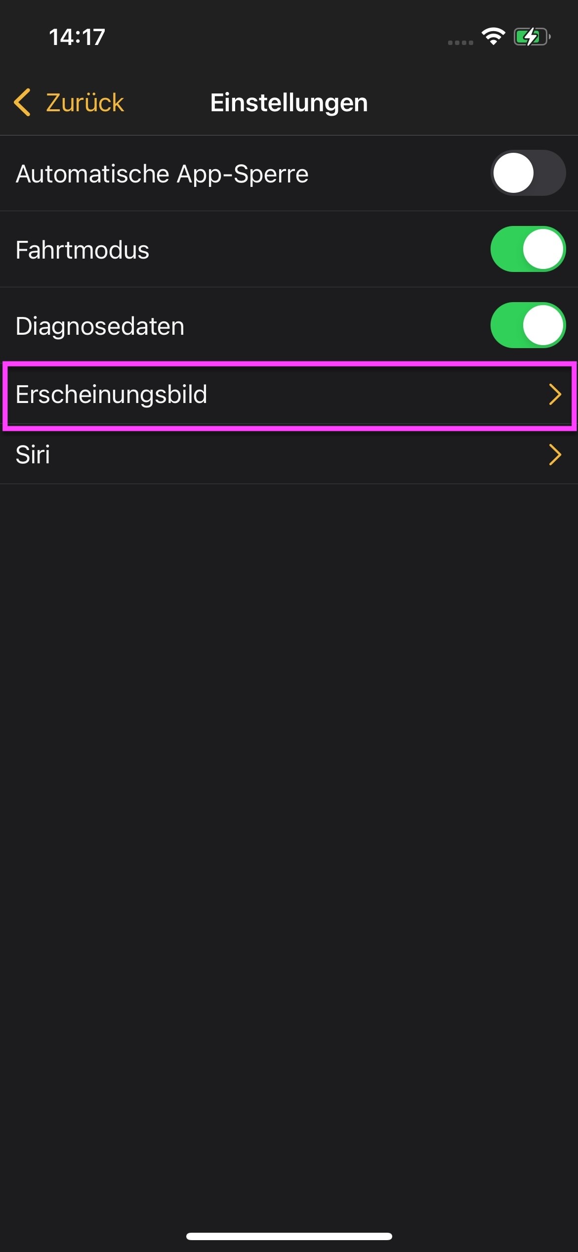 IVA-iOS-App-Einstellungen-Erscheinungsbild.jpg