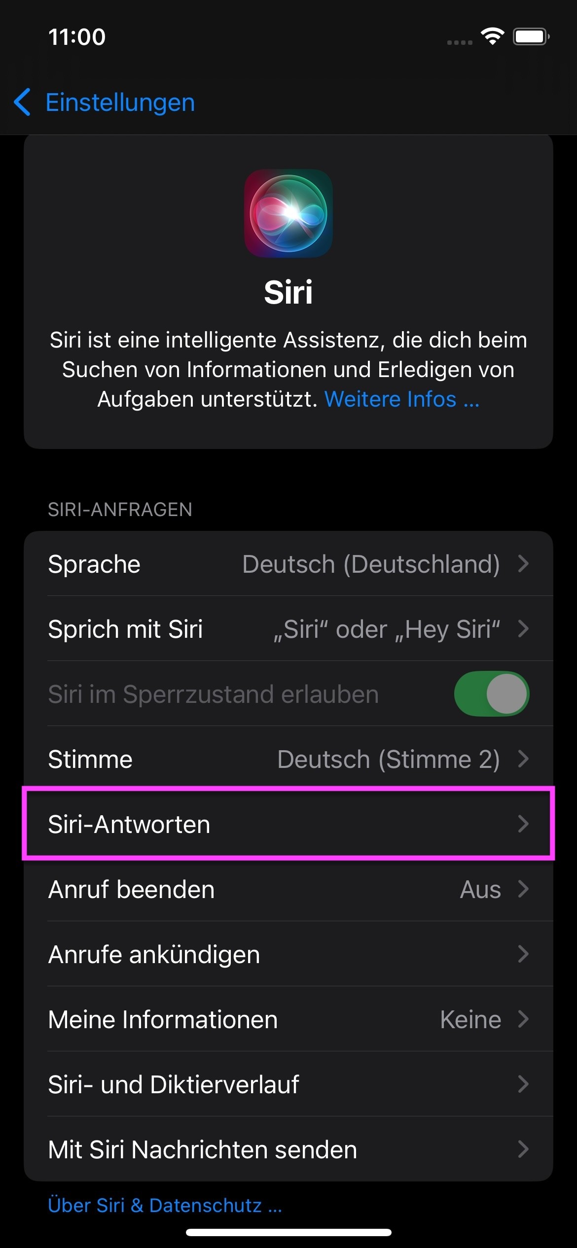 IVA-iOS-App-IVA-Siri-Siri-Antworten.jpg